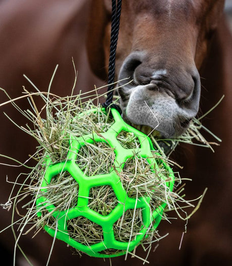 Gioco per cavallo palla di fieno Waldhausen