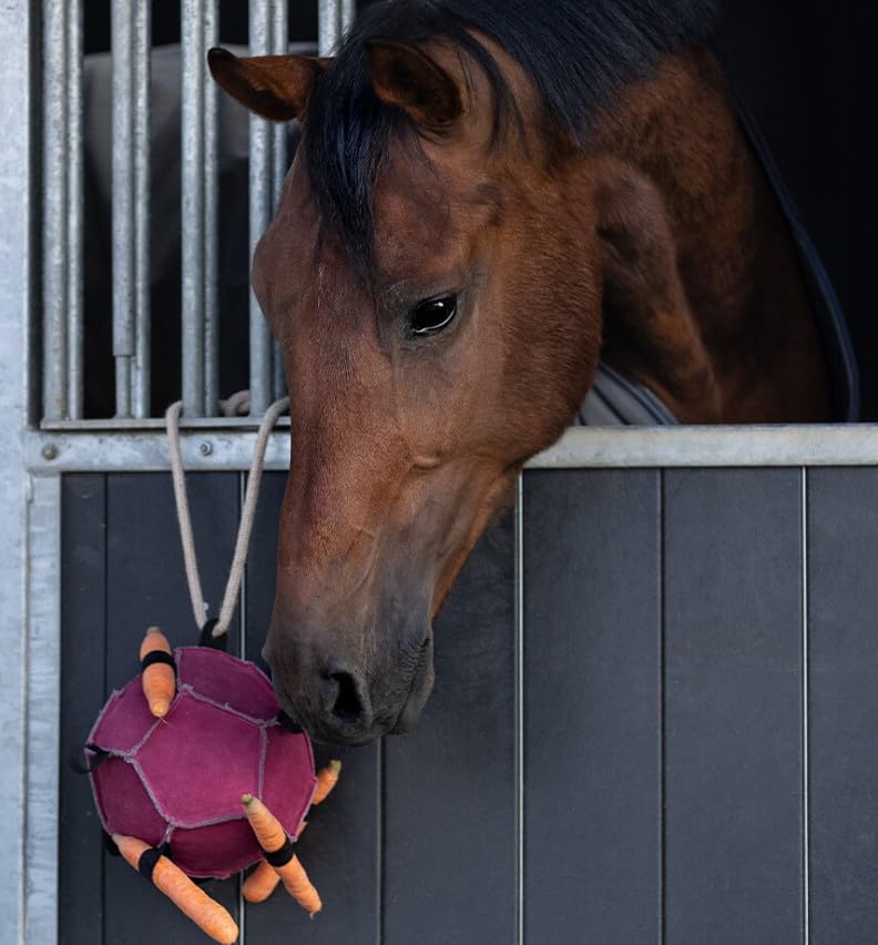 Palla giocattolo per cavallo QHP