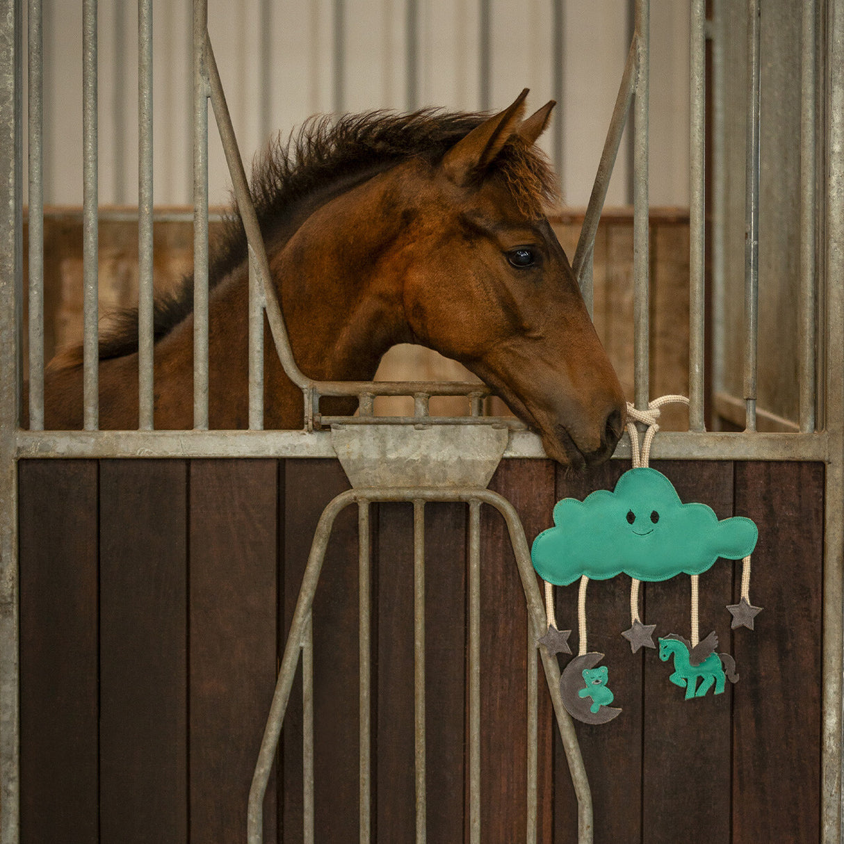 Giocattolo cavallo Novy QHP