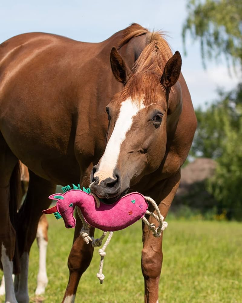 Gioco per cavallo da box QHP