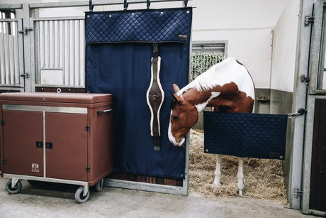 Tenda da box Kentucky navy