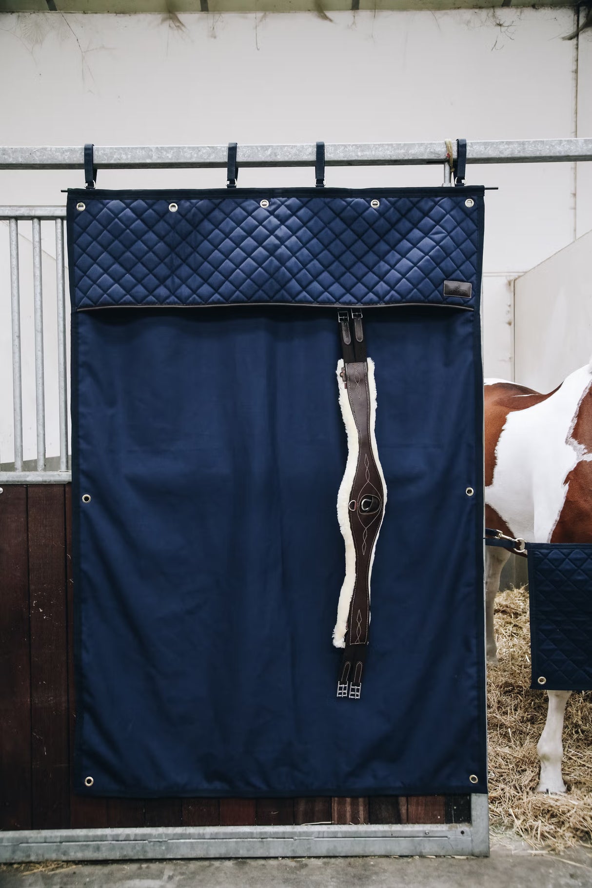 Tenda da box Kentucky navy
