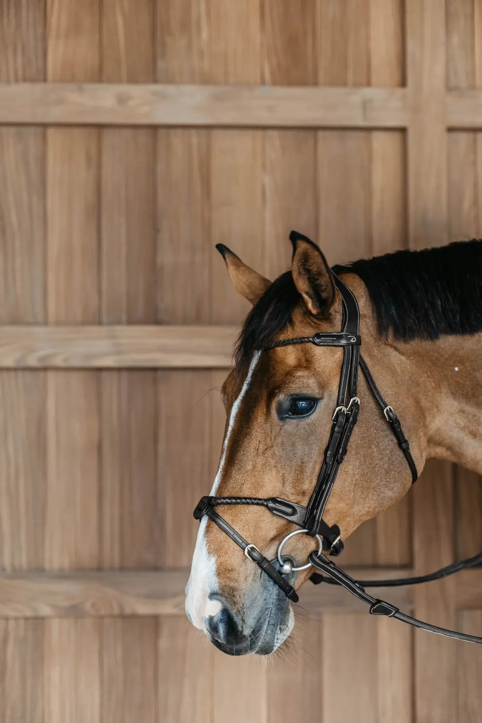 Testiera Dy'On Braided Flash Noseband nera