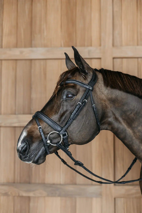 Testiera Dy'On Plaited Flash Noseband with Pull Nero