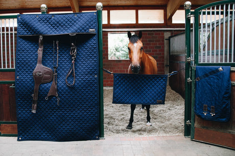 Tenda da box Kentucky navy