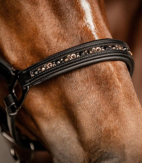 Capezza in pelle Waldhausen X-Line Crystal nera
