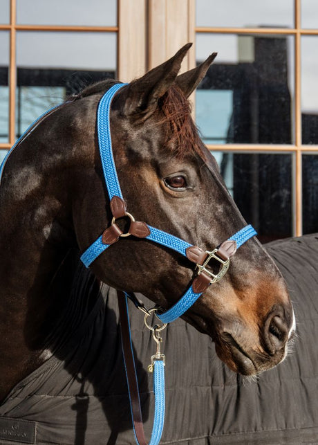 Cavezza modello Plaited Nylon light blue Kentucky Cob