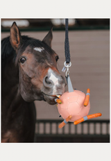 Gioco per cavallo palla con carote Waldhausen