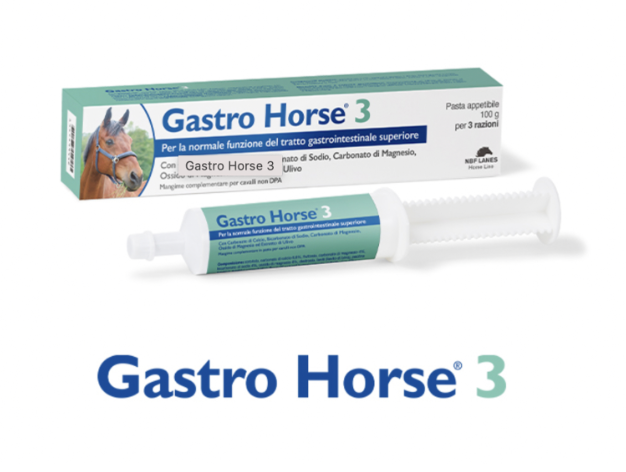 Gastro Horse 3 NBF LANES siringa 100 g