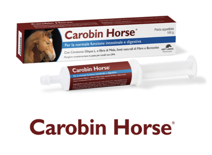 Carobin Horse NBF LANES siringa da 100 g