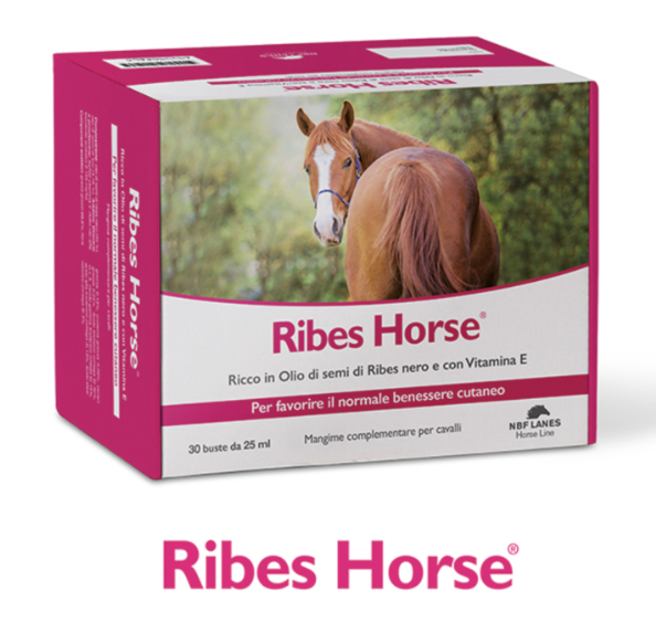 Ribes Horse NBF LANES bustine 30x25 ml