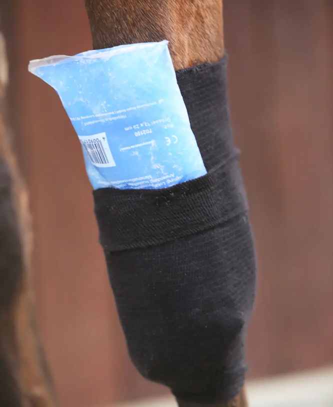 Tendon Grip Sock Kentucky