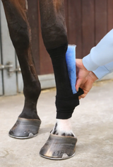 Tendon Grip Sock Kentucky