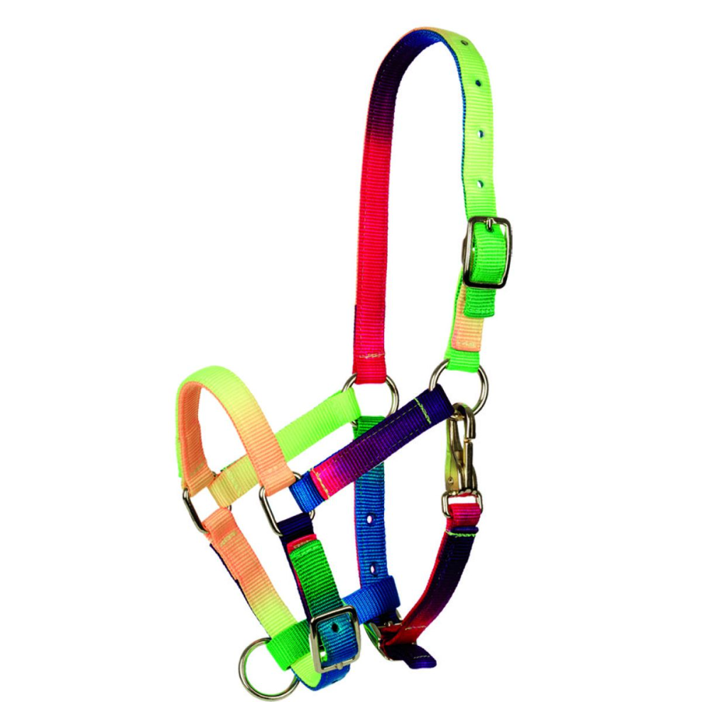 Capezza Tattini multicolore pony