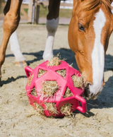 Giocattolo relax per cavallo Play & Hay Ball grigia Kentucky