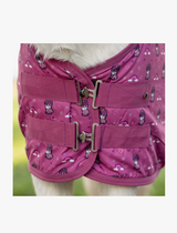 Coperta da box pony con interno in pile Qhp