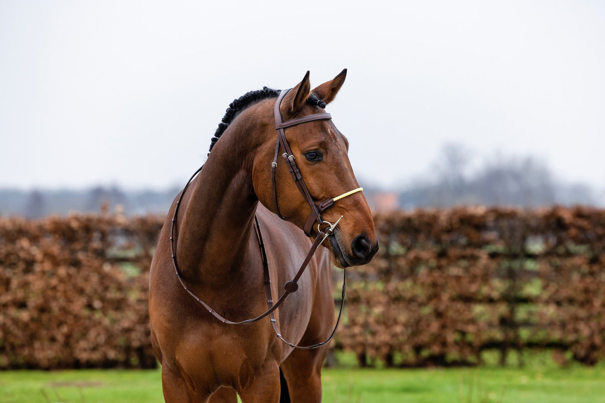 Testiera Trust Gallen con capezzino in corda marrone