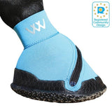 Scarpetta Medical Woofwear per cavallo