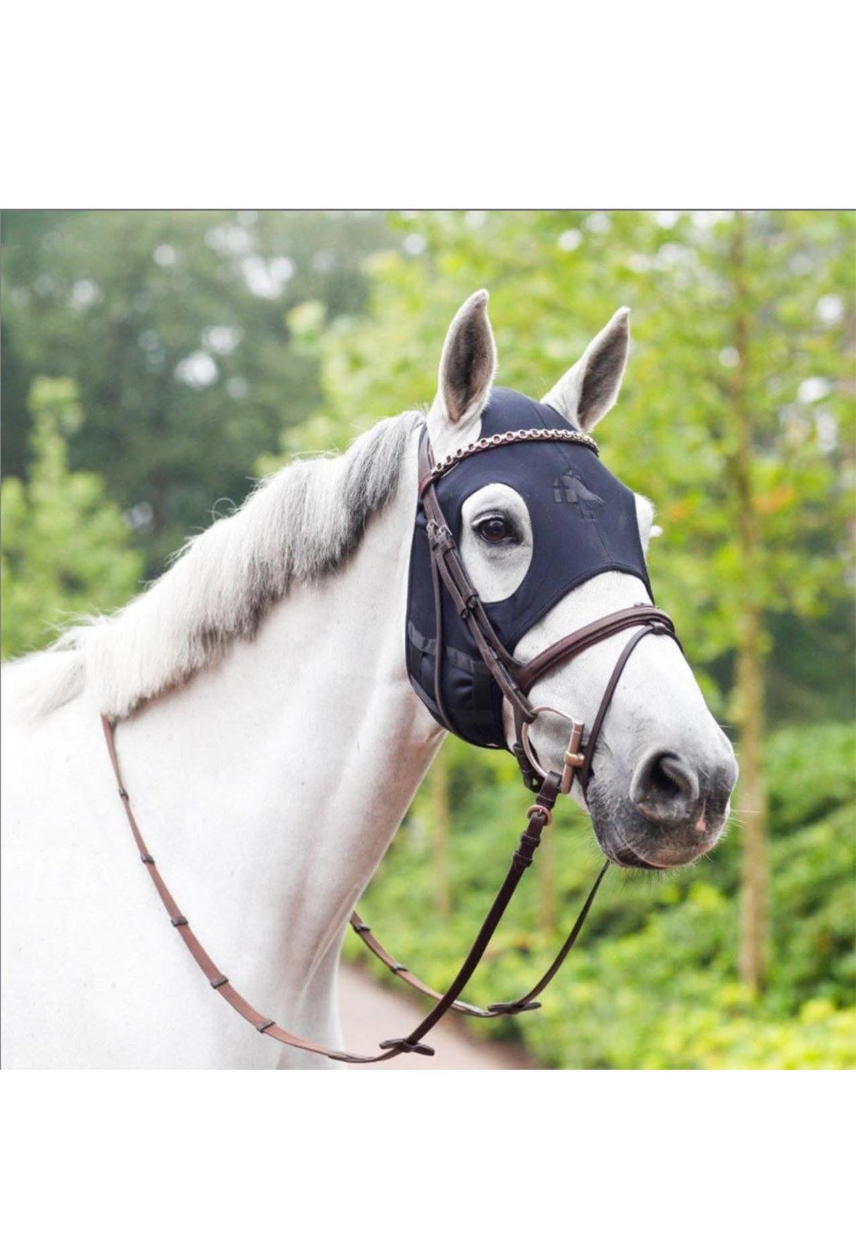 Maschera Cavallo Terapeutica Fenwick Titanium Liquid Senza Orecchie