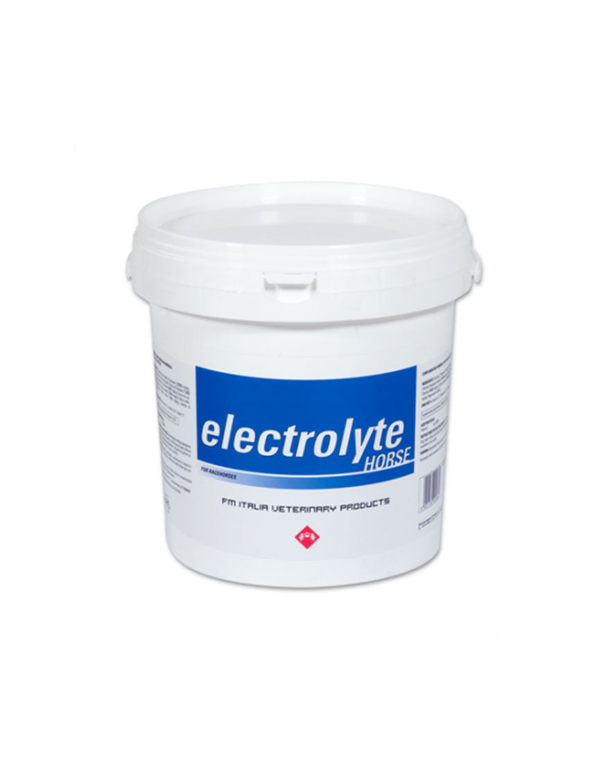 Electrolyte horse 3000 g FM Italia